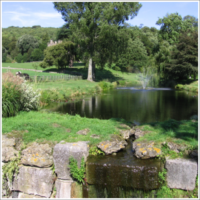 Spring on Tichesey estate